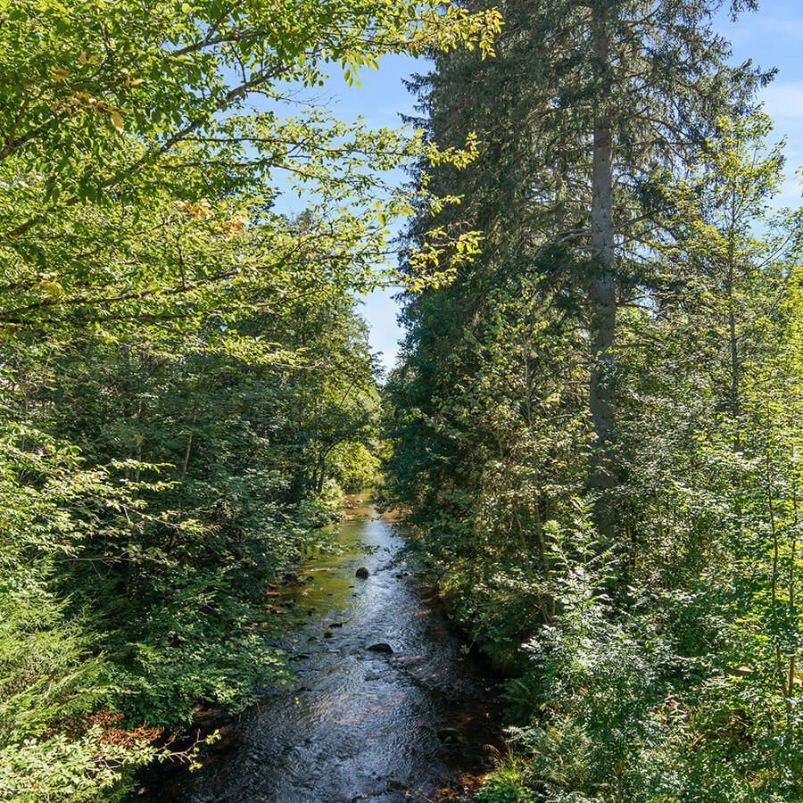 Park Quartett Villingen